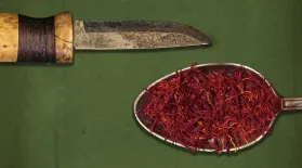 Wild Hogs and Saffron: asset-mezzanine-16x9