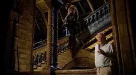 Was Bigfoot Real?: asset-mezzanine-16x9