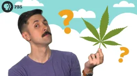 Should I Invest In Cannabis Stocks?: asset-mezzanine-16x9