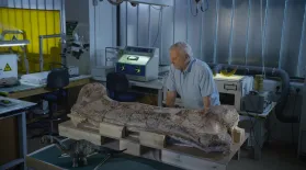 Museum Alive with David Attenborough: asset-mezzanine-16x9
