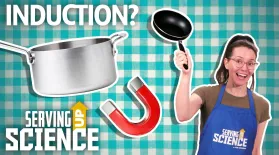 Gas vs Induction Stoves : The Heated Debate: asset-mezzanine-16x9