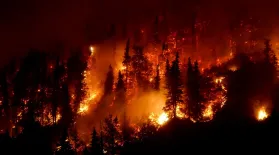 Wildfires Threaten Canada's Boreal Forest: asset-mezzanine-16x9