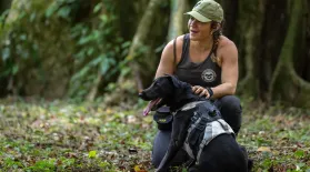 How This Sloth Poop-Sniffing Dog is Saving the Species: asset-mezzanine-16x9