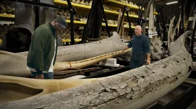 Secrets of the World’s Only Whale Warehouse: asset-mezzanine-16x9