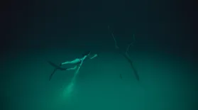 Cenotes: asset-mezzanine-16x9