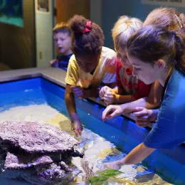 photo of students engaging with an exhibit at Roper Mountain