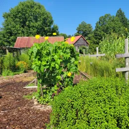 photo of a farming area with farm buildings in the background at Roper Mountain