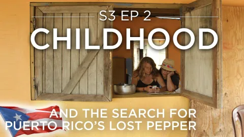 Childhood (And the Search for Puerto Rico's Lost Pepper): asset-mezzanine-16x9