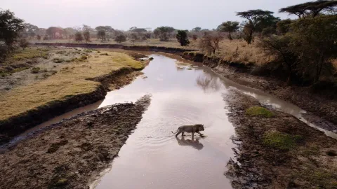 Purgatory | Katavi: Africa's Fallen Paradise: asset-mezzanine-16x9