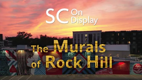 SC On Display: The Murals of Rock Hill: asset-mezzanine-16x9