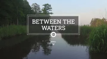 Between the Waters