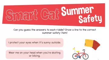 Smart Cat Summer Safety