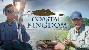 Coastal Kingdom
