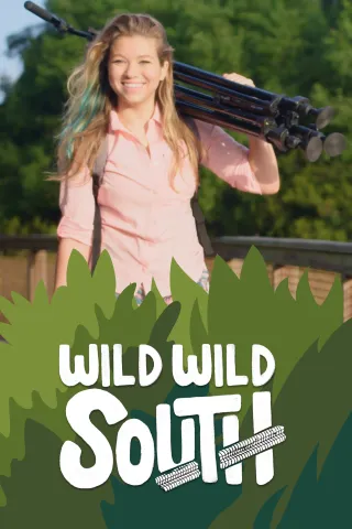Wild Wild South Poster