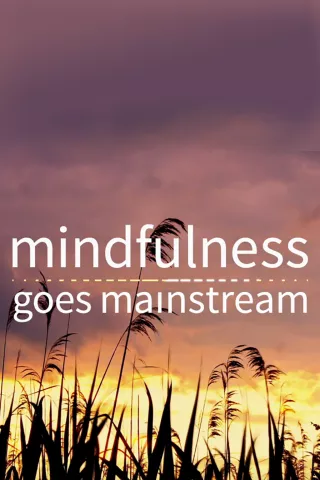 Mindfulness Goes Mainstream: show-poster2x3