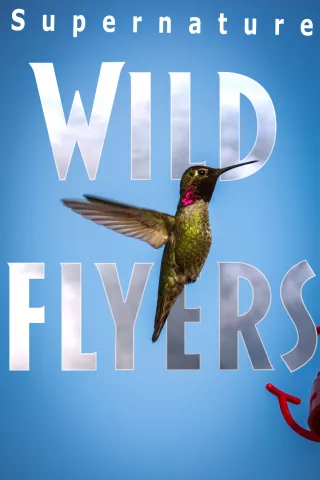 SuperNature - Wild Flyers: show-poster2x3