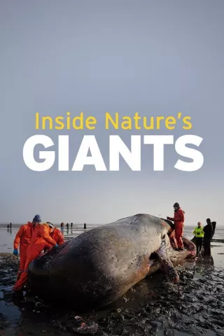 Inside Nature's Giants: show-poster2x3