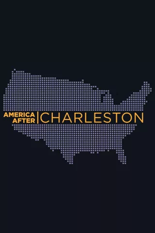 America After Charleston: show-poster2x3