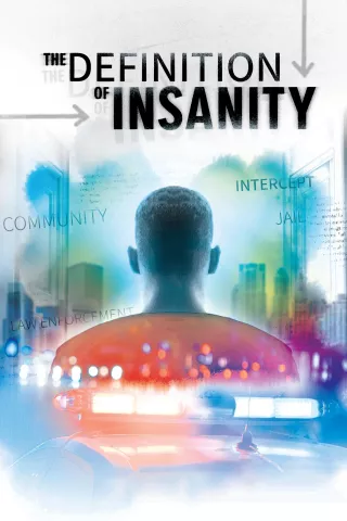 The Definition of Insanity: show-poster2x3