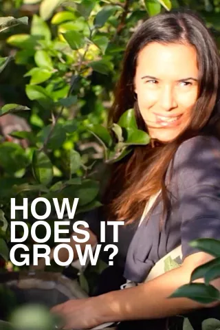 How Does It Grow: show-poster2x3