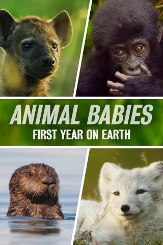 Animal Babies: First Year on Earth: show-poster2x3