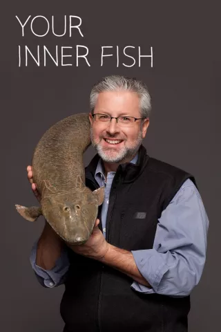 Your Inner Fish: show-poster2x3