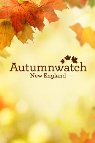 Autumnwatch New England: show-poster2x3