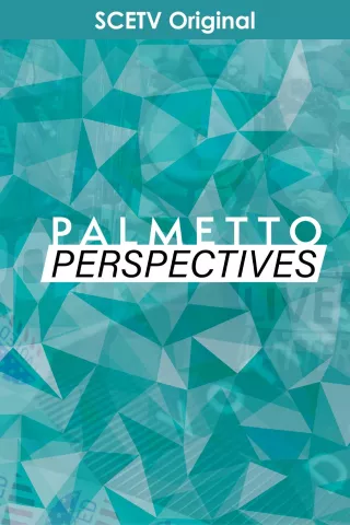 Palmetto Perspectives: show-poster2x3