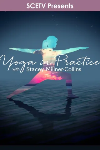 Yoga in Practice: show-poster2x3