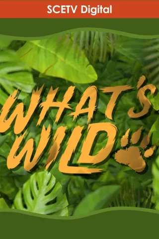 What's Wild: show-poster2x3