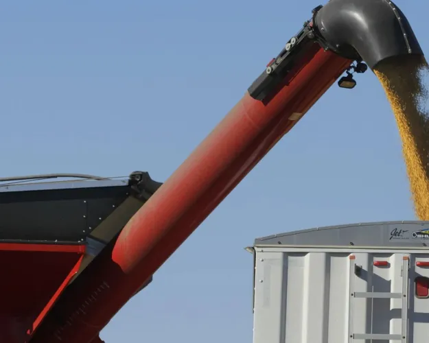 Soybeans are harvested by farmers