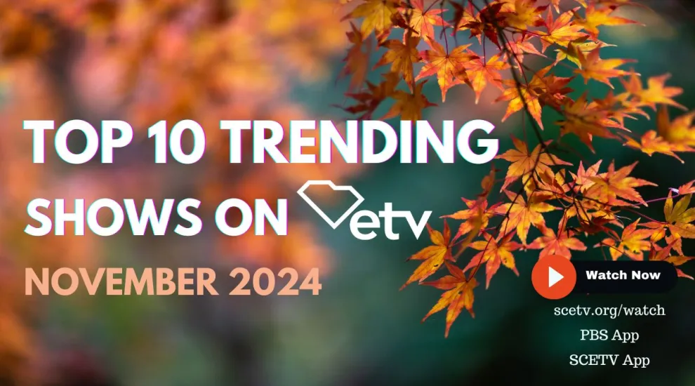 Top Ten Trending Shows on ETV - November 2024