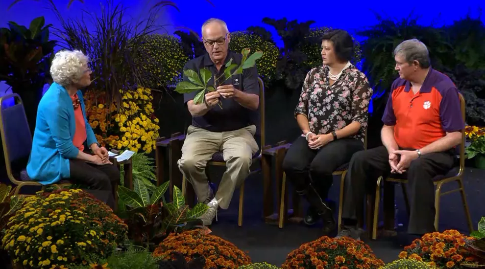 Amanda McNulty, Dr. John Nelson, Vicky Bertagnolli, Tony Melton