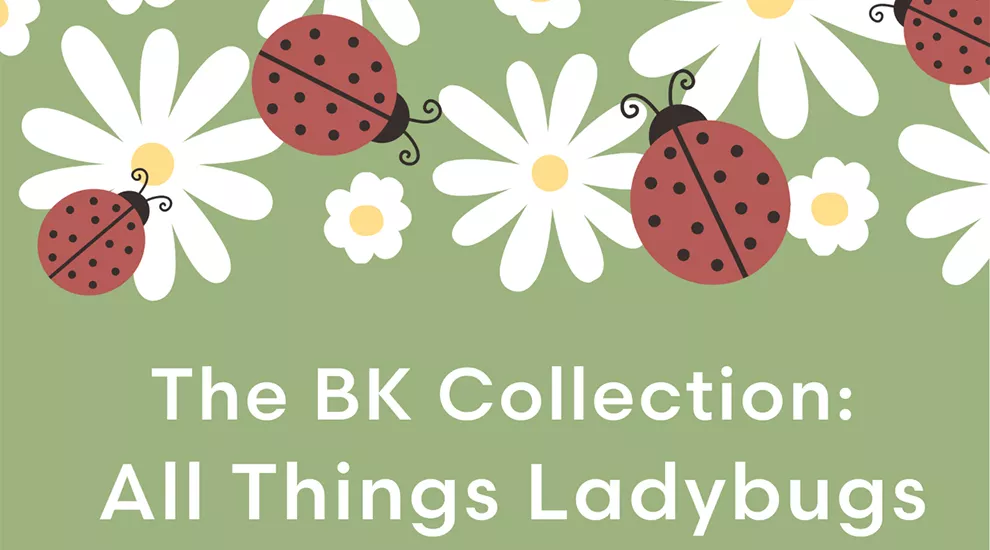 The BK Collection: All Things Ladybugs