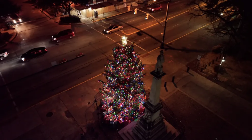 The S.C. State Christmas Tree lit up at night