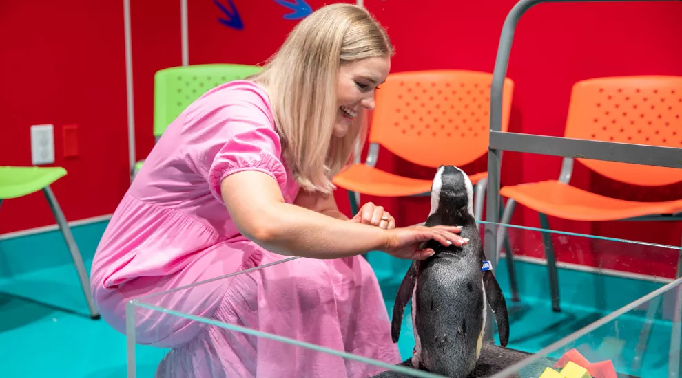 Devyn wearing a pink dress and kneeling down touches a penguin in captivity at the Ripley's Aquarium.