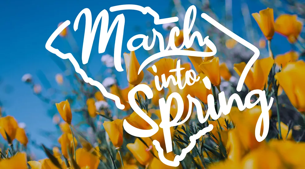 March into Spring graphic showing field of flowers with SC map with March into Spring superimposed