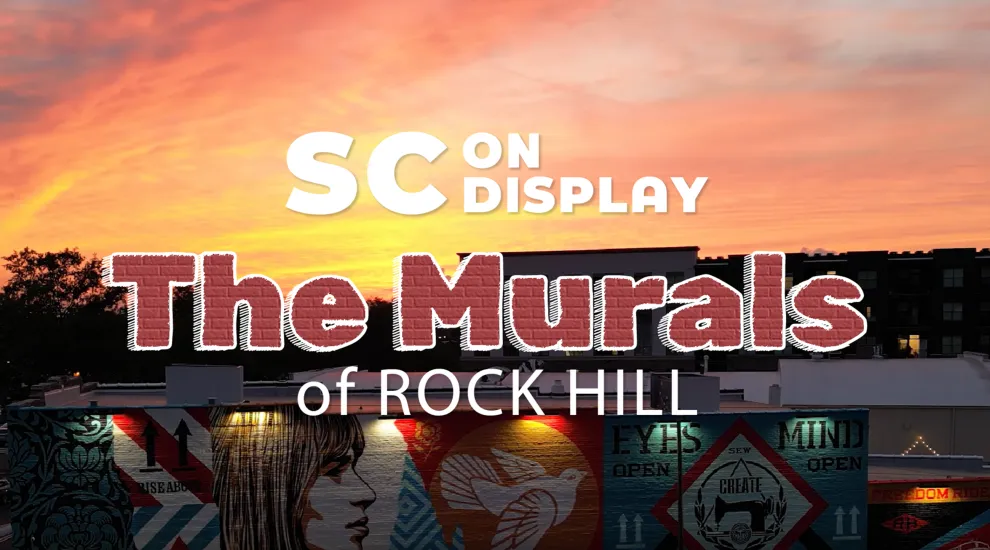 sc on display logo with a rock hill mural in the background