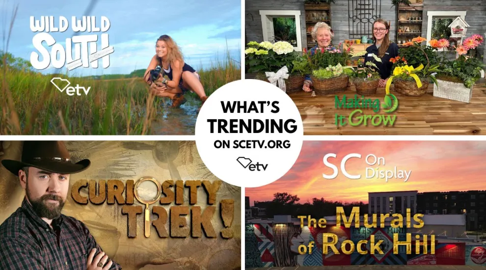 Trending on SCETV