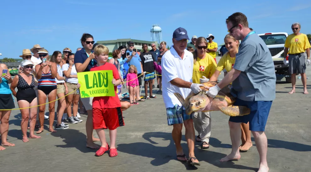 South Carolina Aquarium Sea Turtle Rescue Program