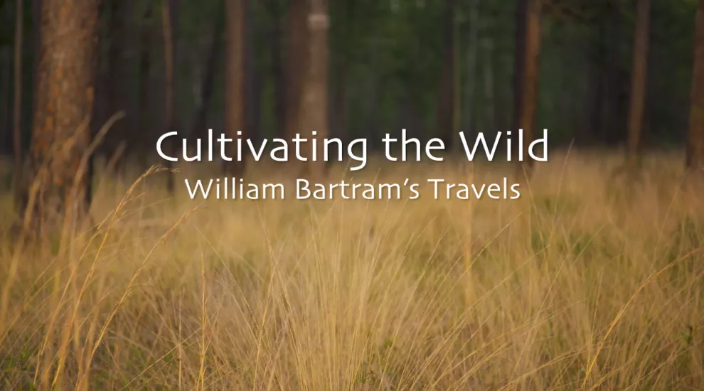 Cultivating the Wild: William Bertrams Travels