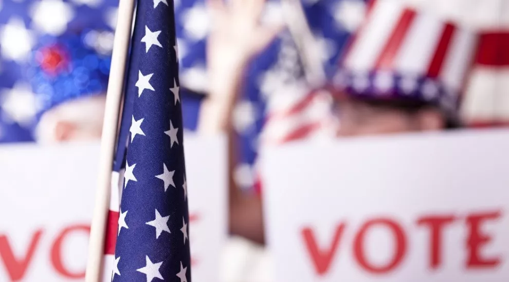 Vote, flag signs