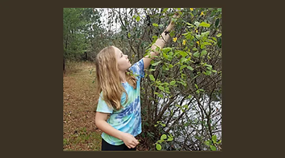 Image from SC Forestry Commission education virtual field trips