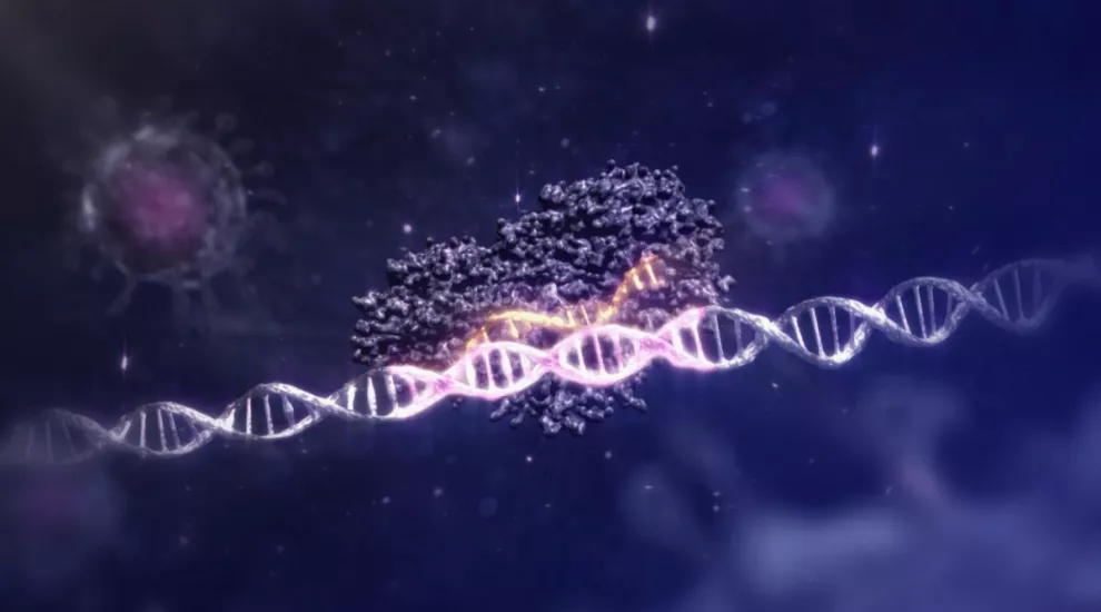 Image of DNA