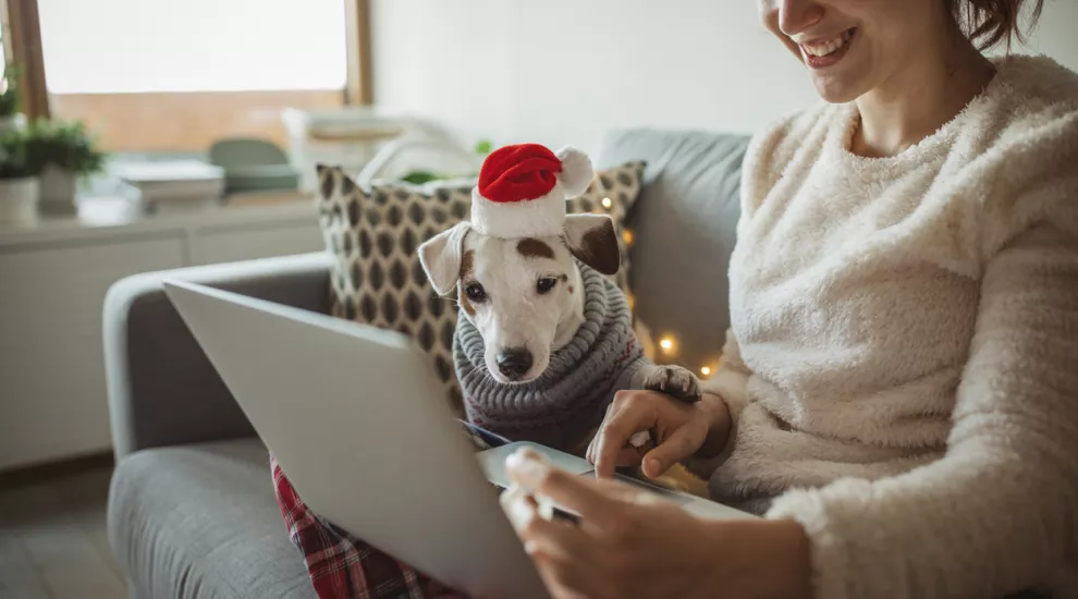 woman relaxing on couch with a dog next to her and laptop on her lap