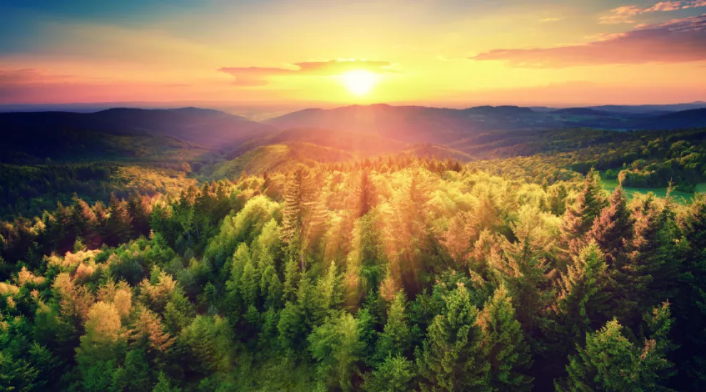 Native Americans make land gains.