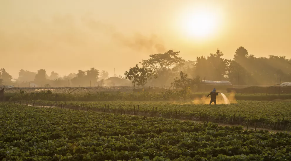 Senate looks to help farmers. 