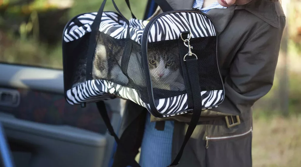 pet owner carries cat in carrier