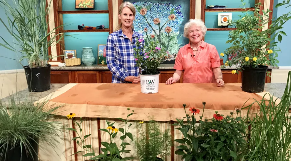 Mill Creek Greenhouses - Plants for Summer Part 1