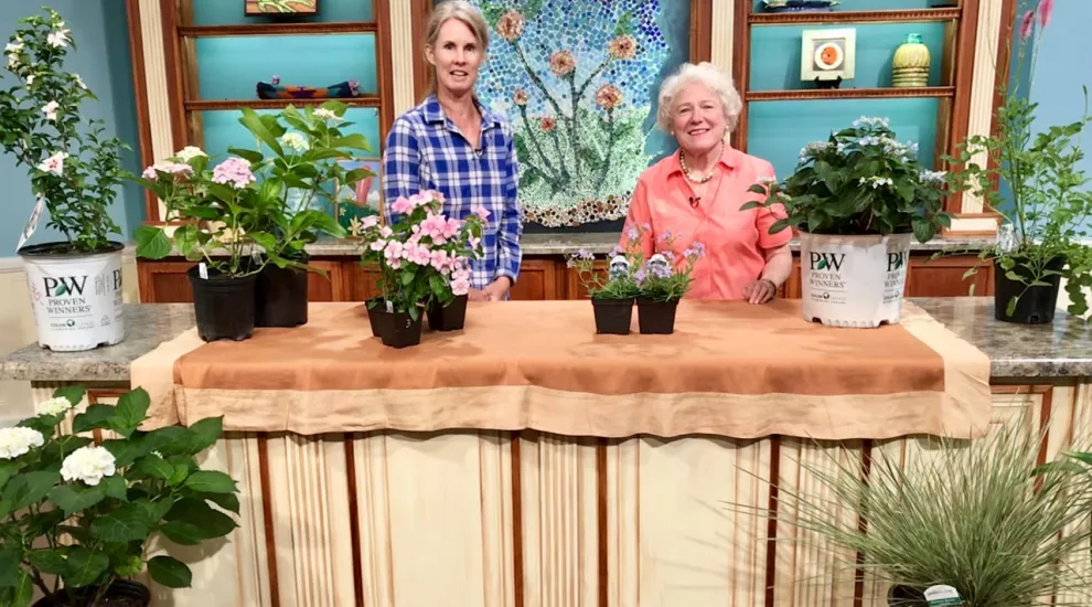 Mill Creek Greenhouses - Plants for Summer Part 2